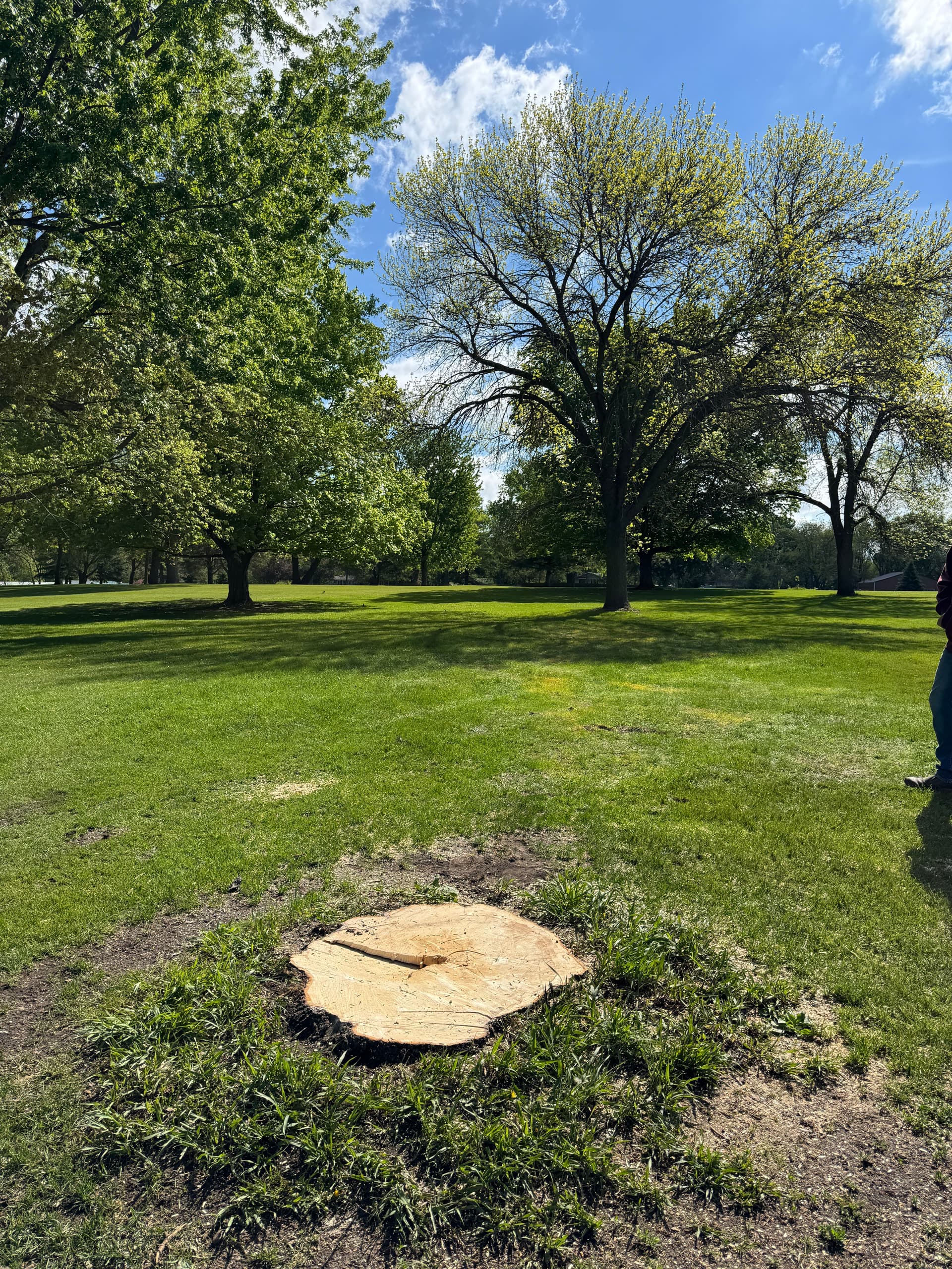 Gallery photos for Giving Back to Cokato Town and Country Club After Vandalism: Image #9