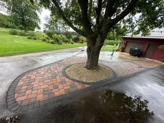 Paved garden walkway with a tree, surrounded by landscaping and rain-soaked pavement.