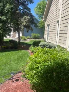 Lush green garden with shrubs and trees beside a house in bright sunlight.