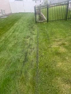 Freshly mowed lawn with tire tracks leading to a fenced yard, showcasing green grass contrast.