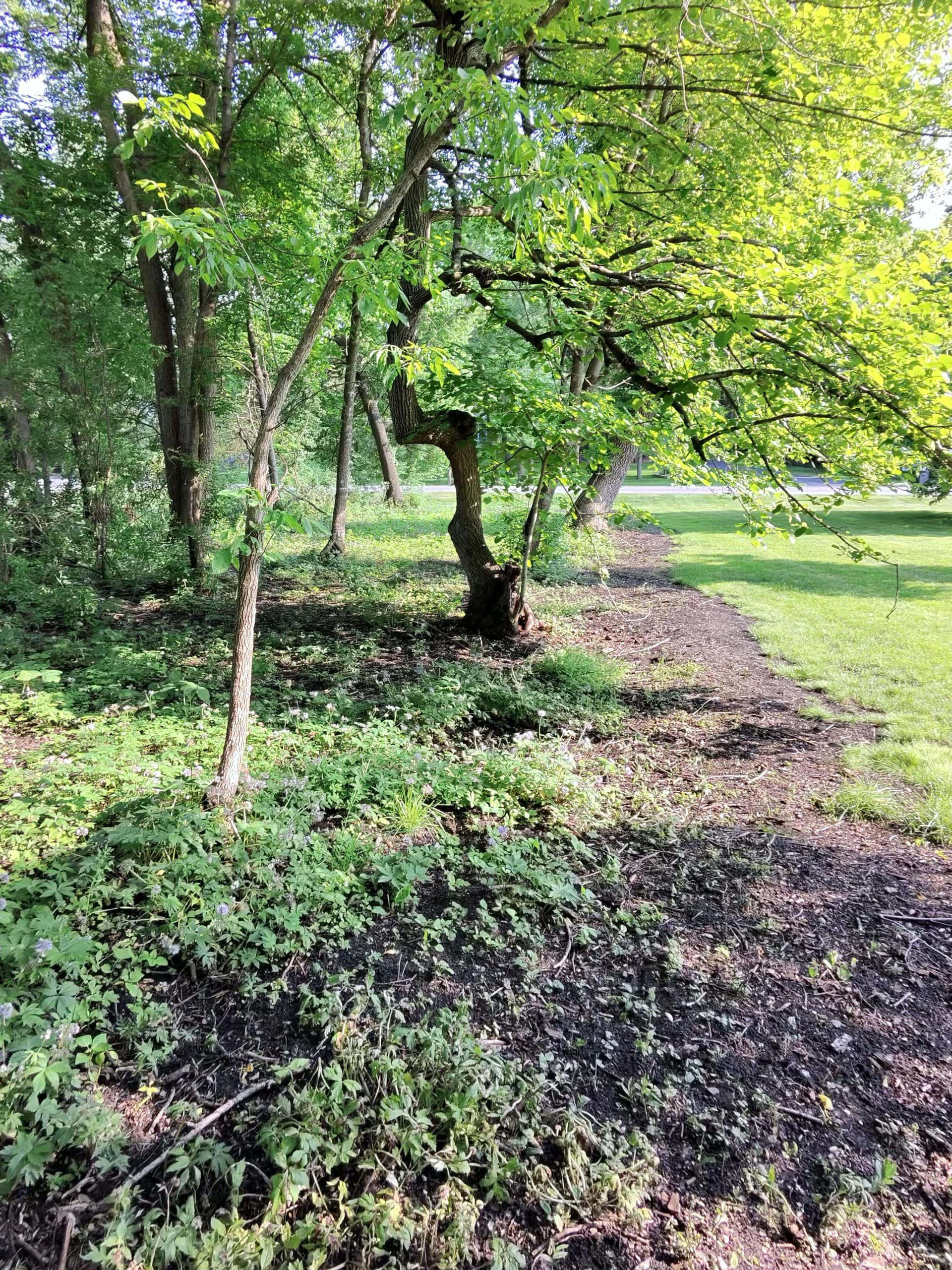 Gallery photos for Keeping Projects Moving Through a Rainy Minnesota Week: Image #2