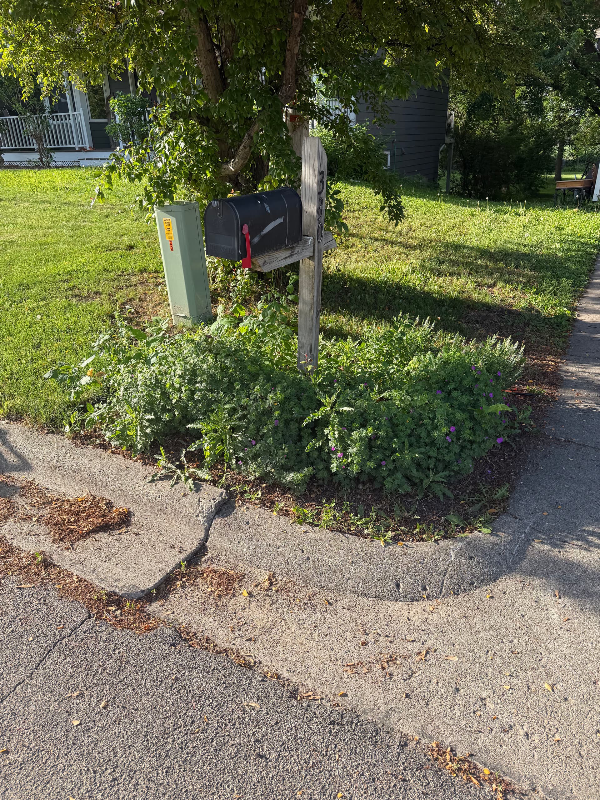 Gallery photos for Full Landscape Refresh at a Cokato Property That Needed It: Image #7