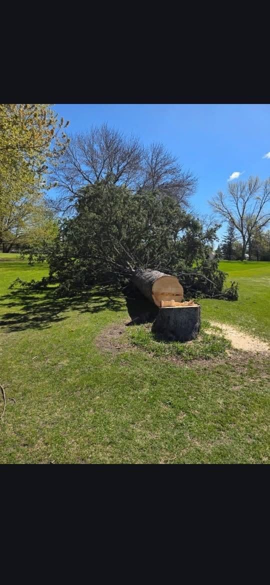 Gallery photos for Giving Back to Cokato Town and Country Club After Vandalism: Image #1