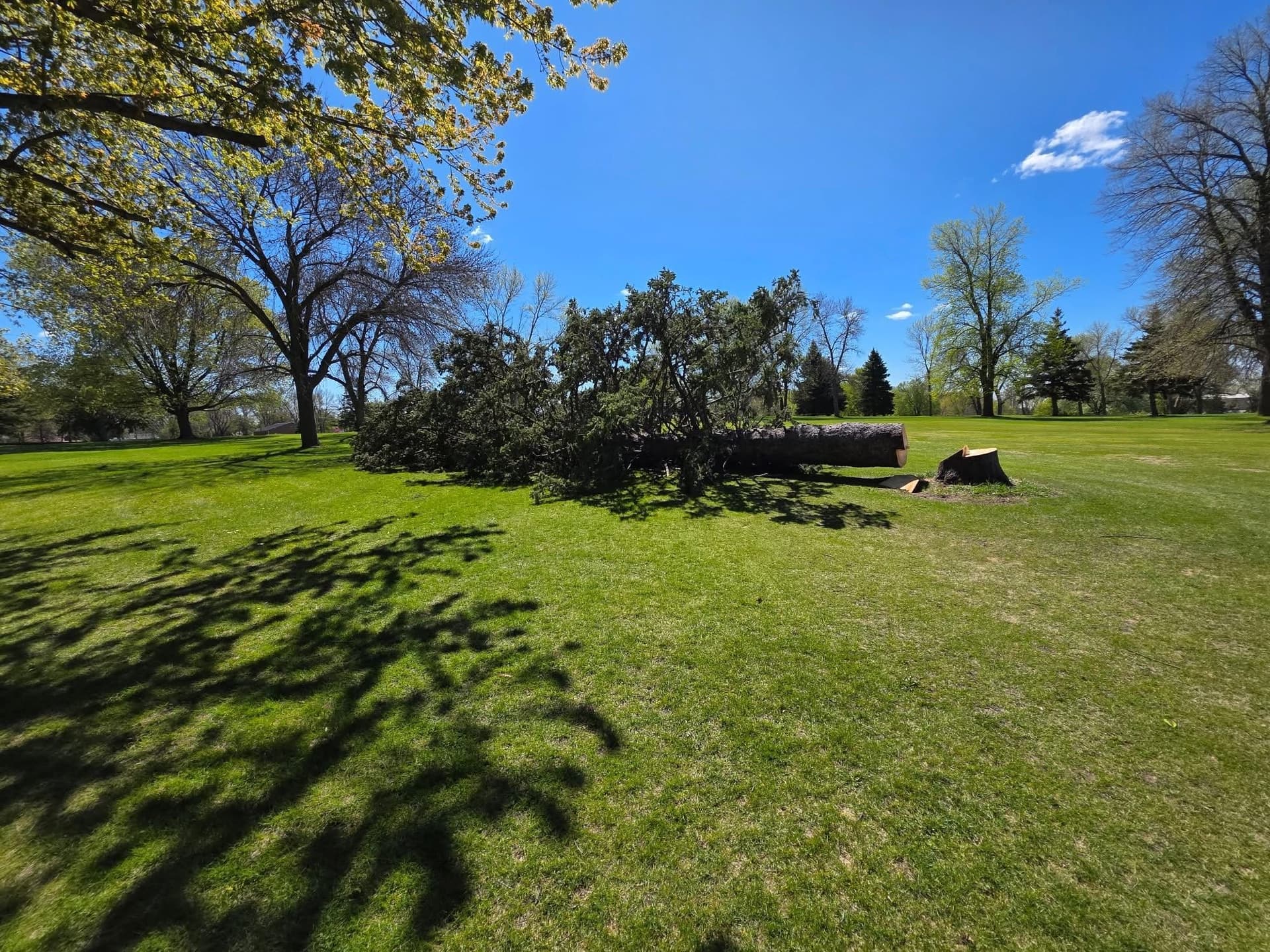 Giving Back to Cokato Town and Country Club After Vandalism image